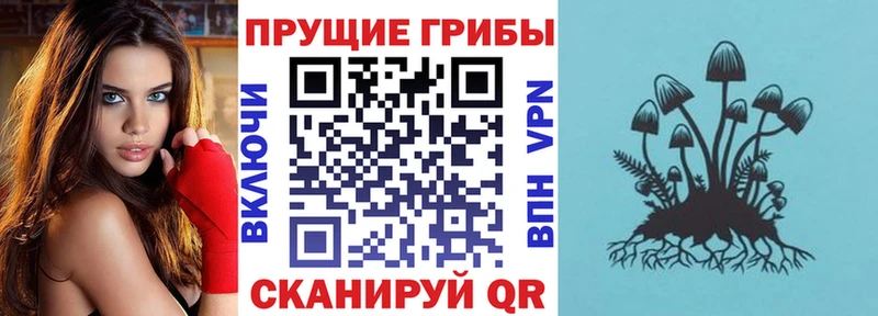 Галлюциногенные грибы GOLDEN TEACHER  Купить где  Уфа 